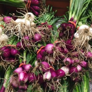 Our own spring onions
