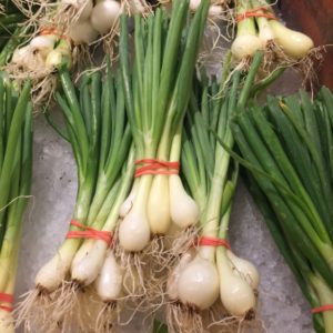 Our own spring onions