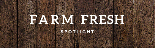 Farm Fresh Spotlight on Wood